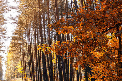 开云体育-南韩男篮碾压德国男篮，克莱一己之力扛起全队——篮球世界的新火种正在点燃